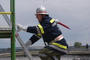 DSC00317